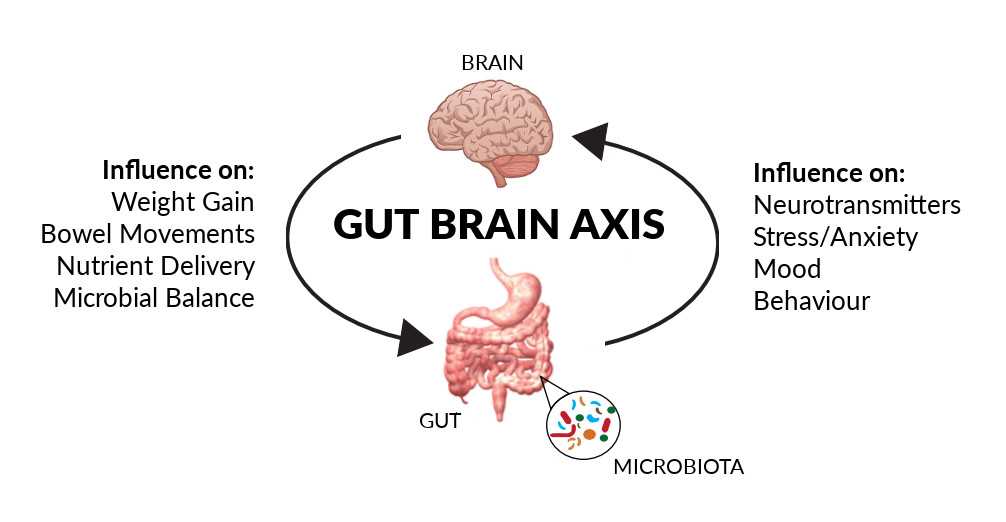 gut-brain-axis